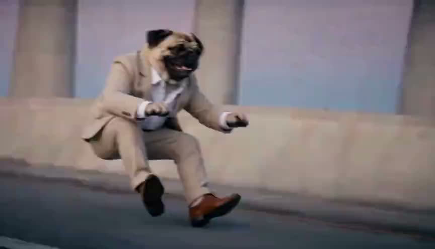 Crazy Frog KI: Haustier — AI video effect example